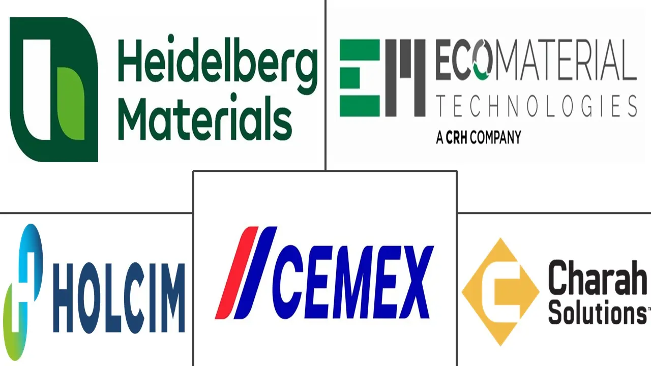 Major players in Supplementary Cementitious Materials industry