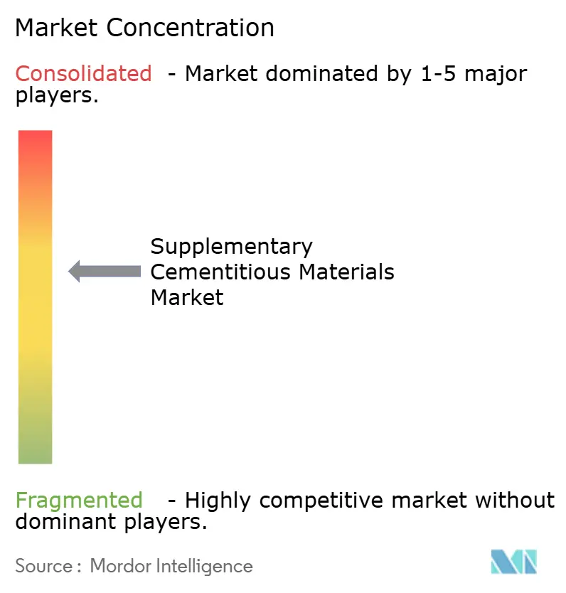 Supplementary Cementitious Materials Market - Market Concentration