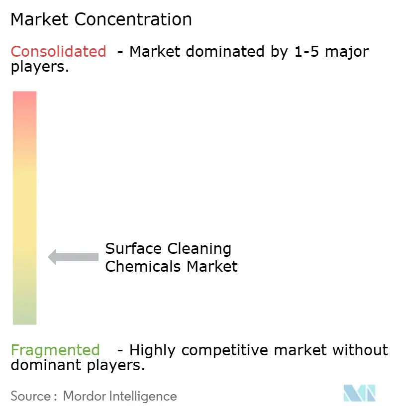 Surface Cleaning Chemicals Market Concentration