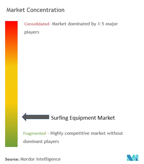 サーフィン用品市場の集中
