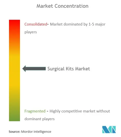 Surgical Kits Market Concentration