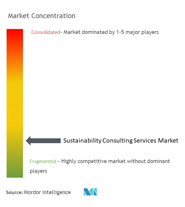 Sustainability Consulting Services Market Concentration