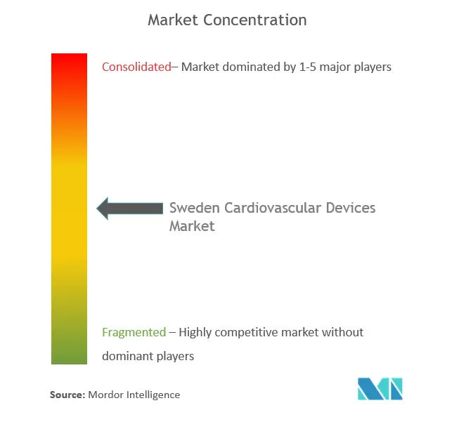 スウェーデンの心臓血管装置市場集中度