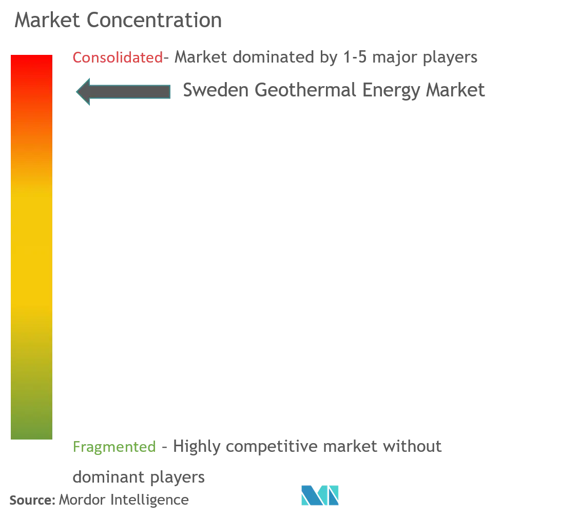 Energía geotérmica de SueciaConcentración del Mercado