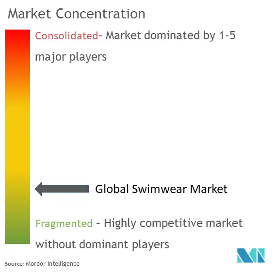 Swimwear Market Concentration