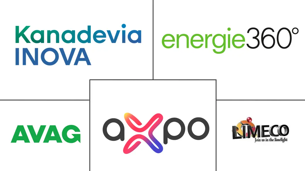 Major players in Switzerland Renewable Gas Waste Feedstock Management industry