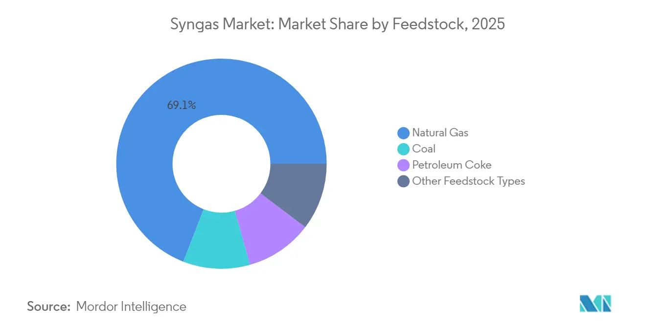 Syngas Market: Market Share by Feedstock, 2025