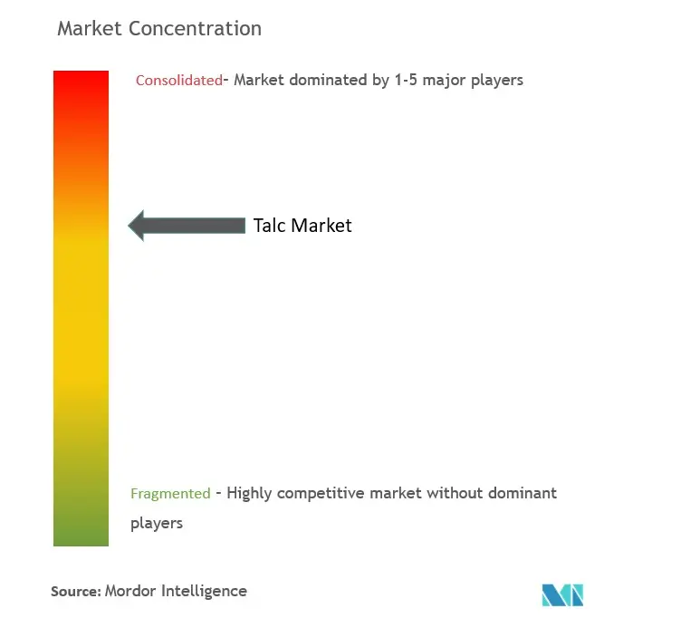Talc Market Concentration