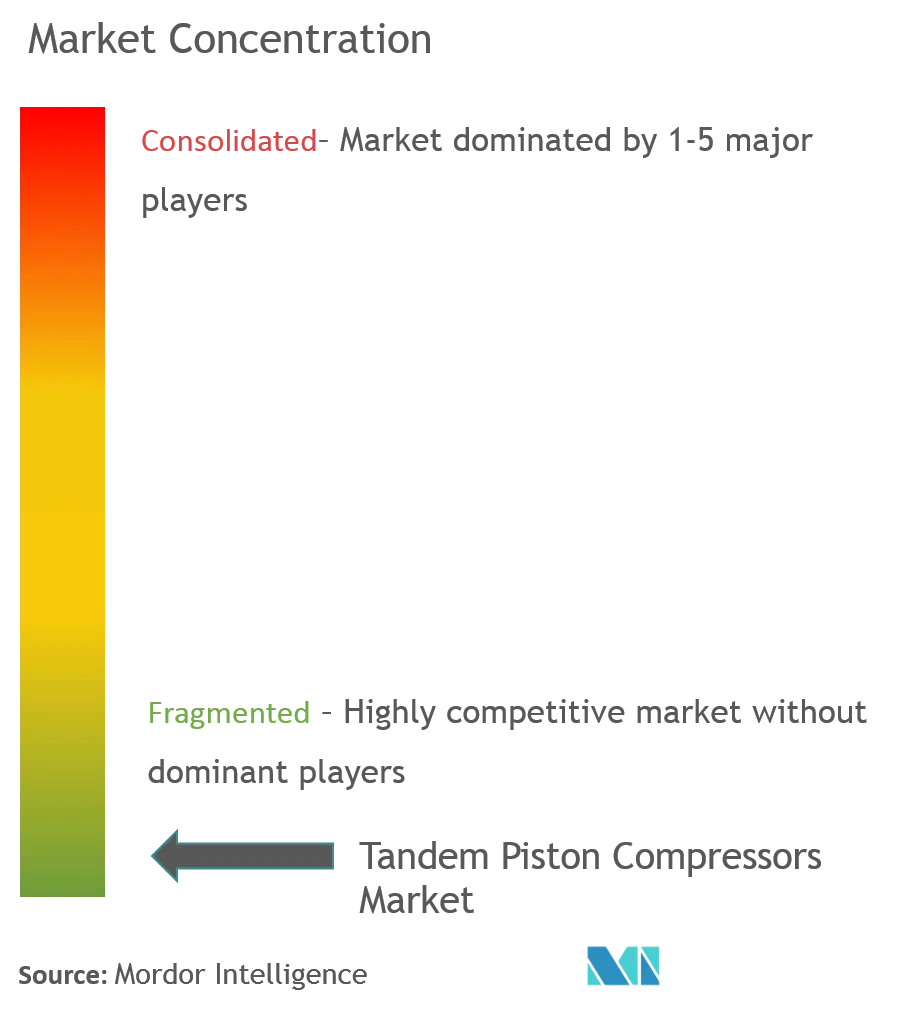 Market Concentration-Tandem Piston Compressor Market.png