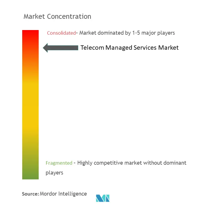 Concentración del mercado de servicios gestionados de telecomunicaciones