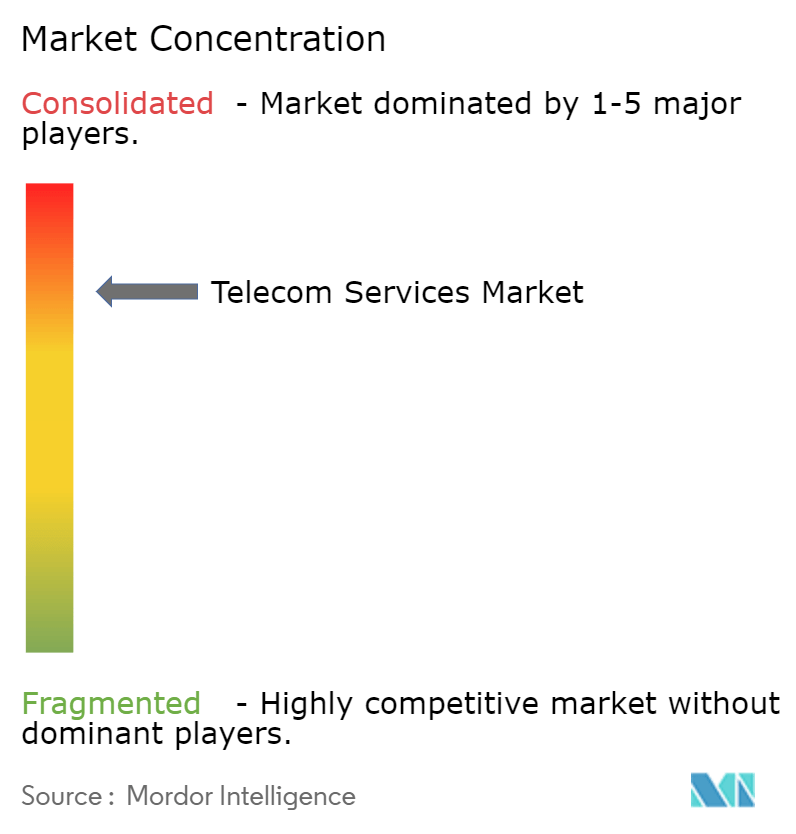 Telecom Services Market Concentration