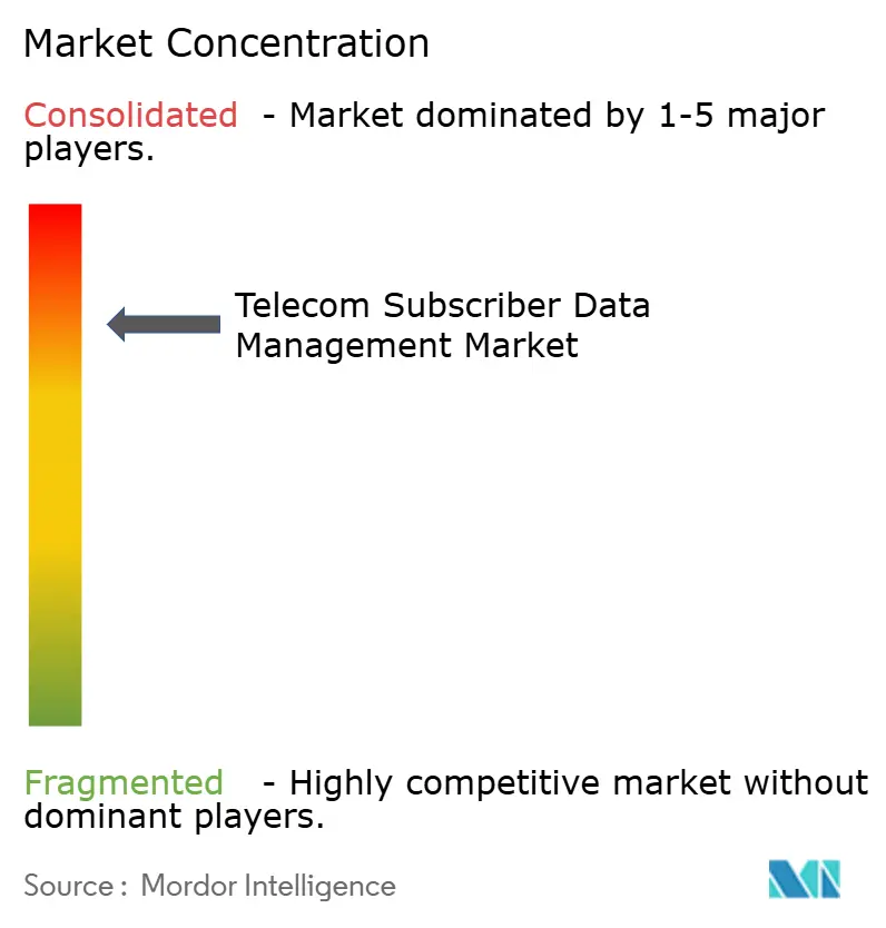 Telecom Subscriber Data Management Market Concentration