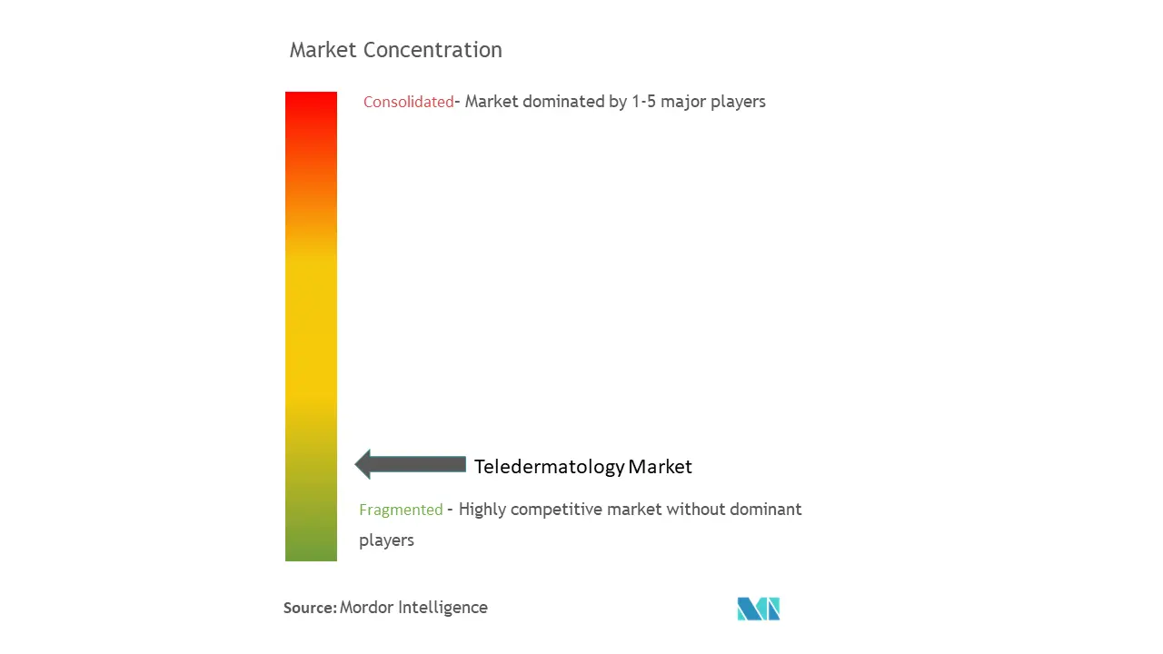 Teledermatology Market Concentration