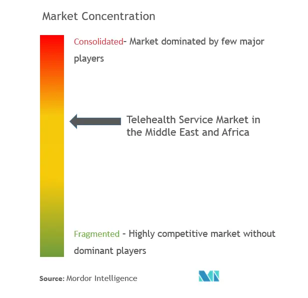 中東・アフリカの遠隔医療サービス市場の集中度