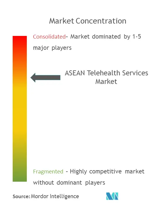 ASEAN Telehealth Services Market Concentration