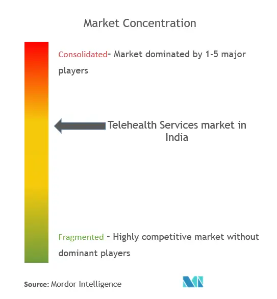 Markt für Telemedizindienste in IndienMarktkonzentration