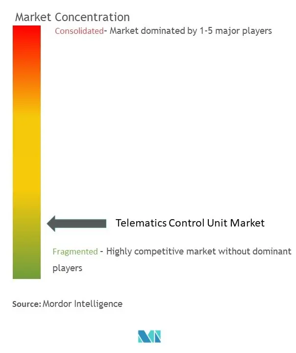 テレマティクス・コントロール・ユニット市場の集中度