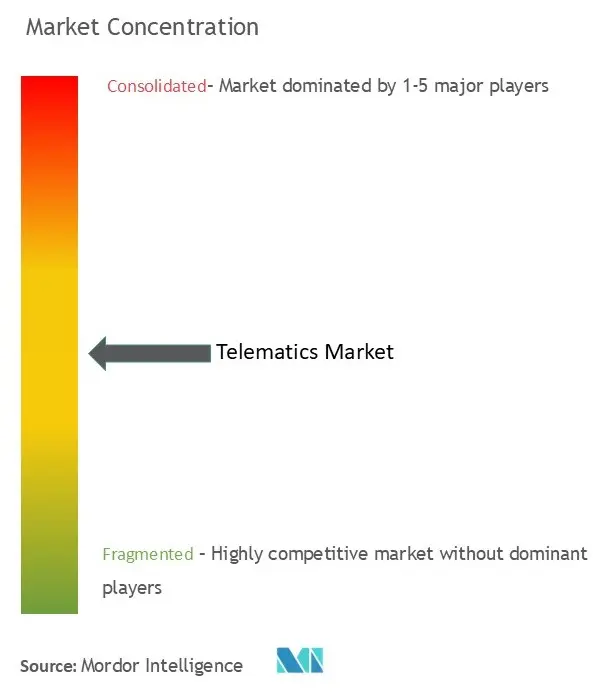 Telematics Market Concentration