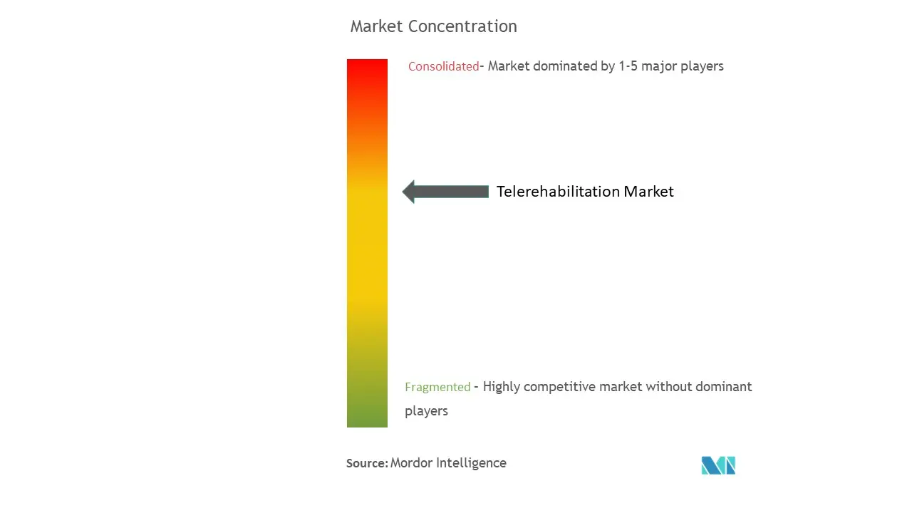 Telerehabilitation Market Concentration