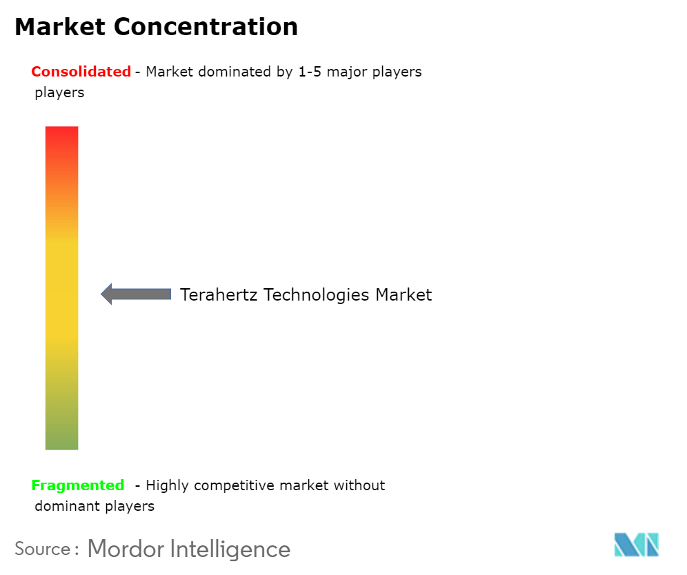 テラヘルツ技術の市場集中度