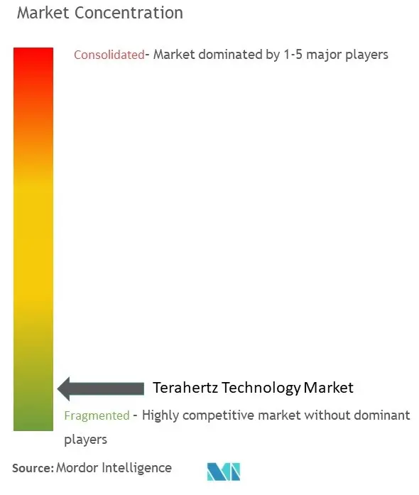 Terahertz Technology Market Concentration