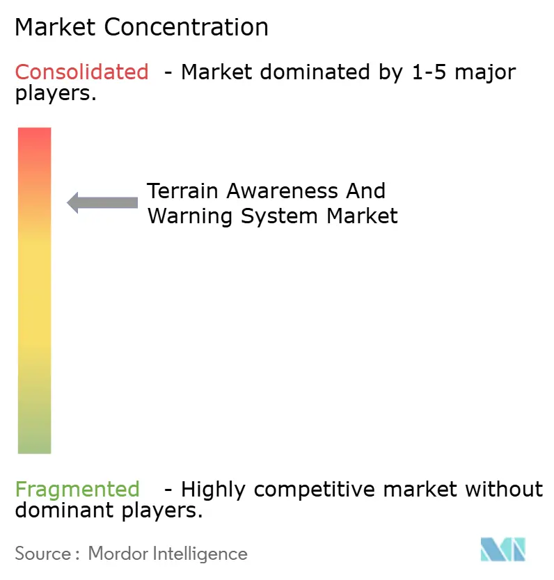 Terrain Awareness and Warning System (TAWS) Market Concentration