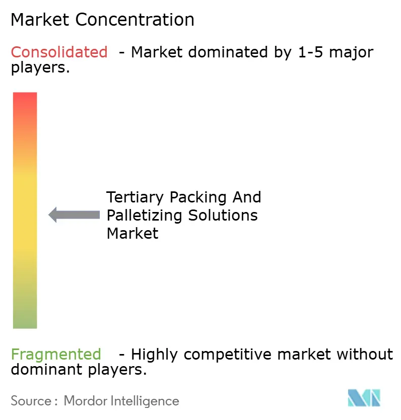 Tertiary Packing And Palletizing Solutions Market Concentration
