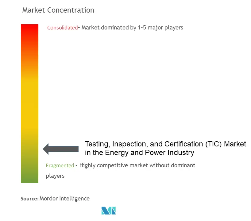 Testing, Inspection, And Certification (TIC) Market Concentration