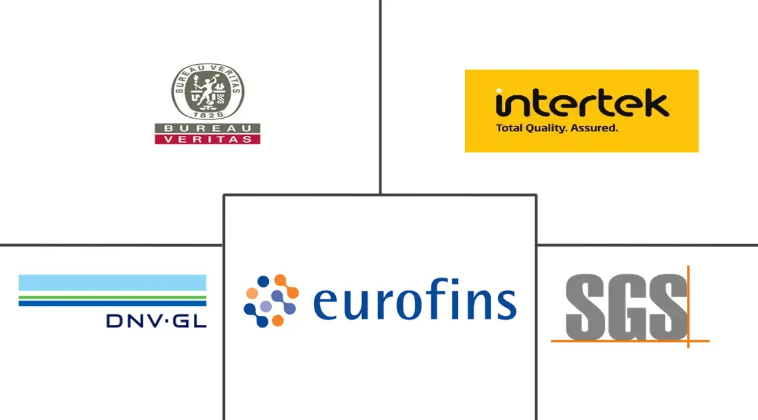 Hauptakteure des Test-, Inspektions- und Zertifizierungsmarktes