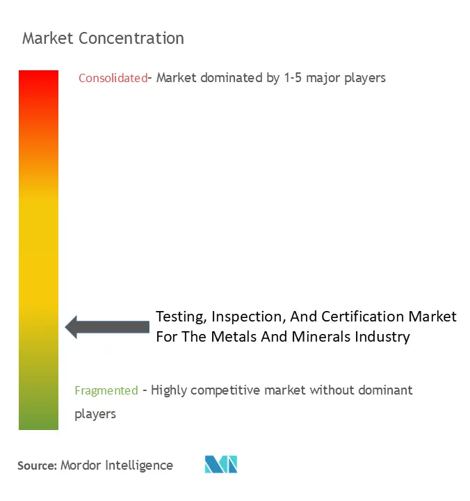 TIC Market For The Metals And Minerals Industry Concentration