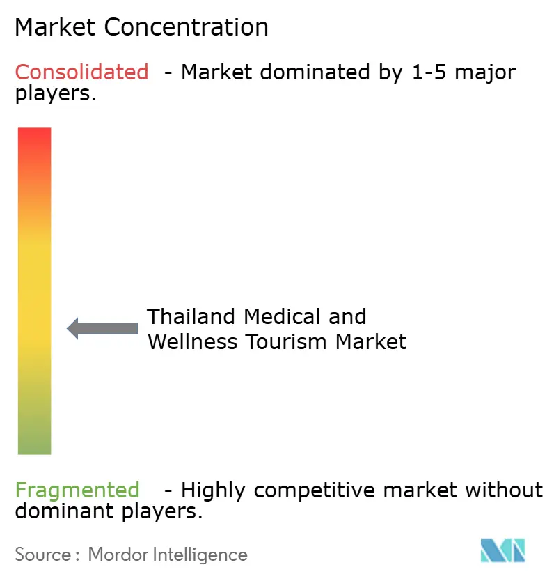 Thailand Medical and Wellness Tourism Market Concentration