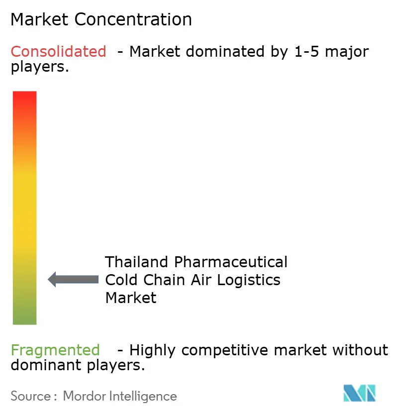 Thailand Pharmaceutical Cold Chain Air Logistics Market Concentration