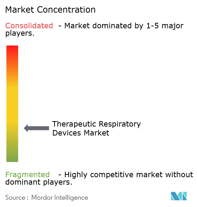 Therapeutic Respiratory Devices Market Concentration