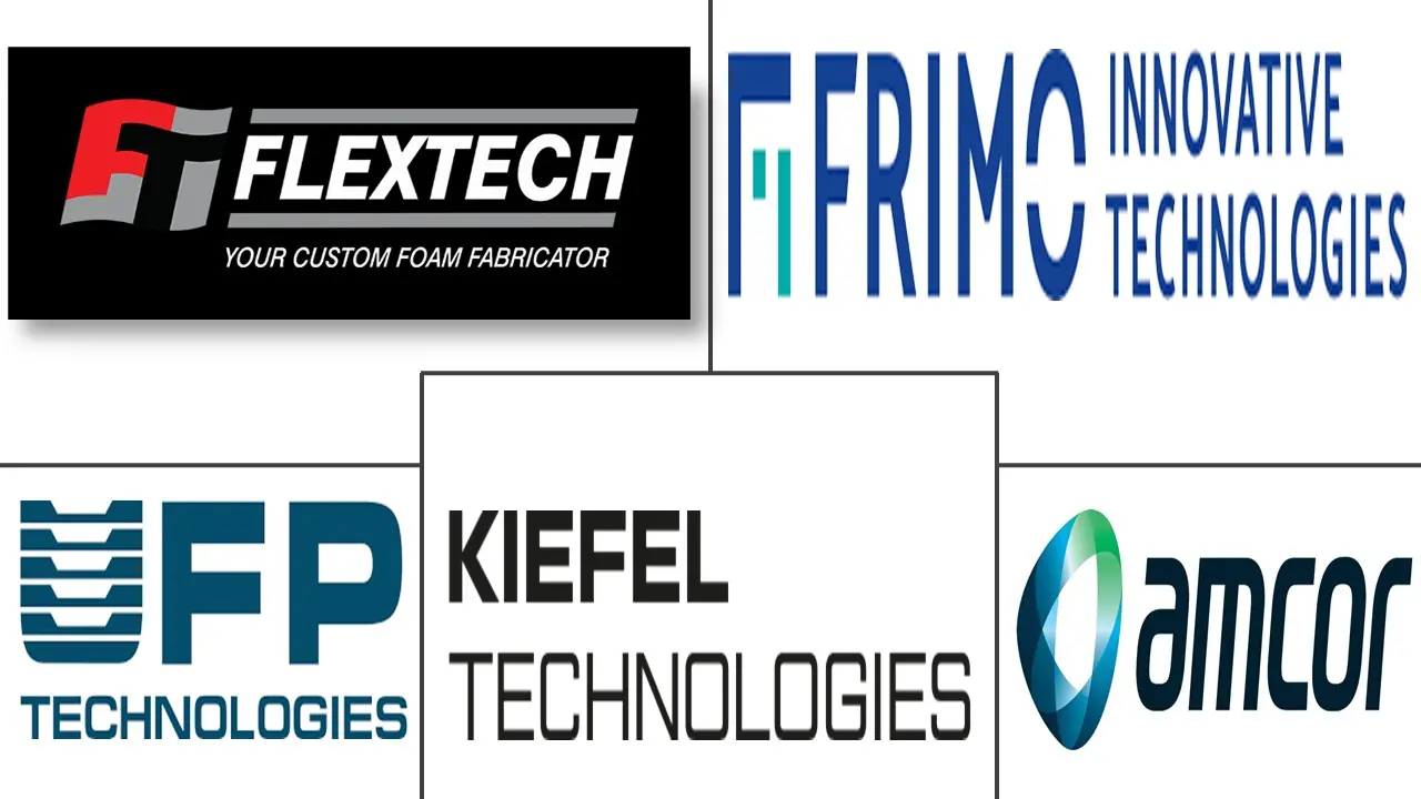 Major players in Thermo Compression Forming industry