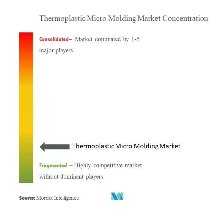 Thermoplastic Micro Molding Market Concentration