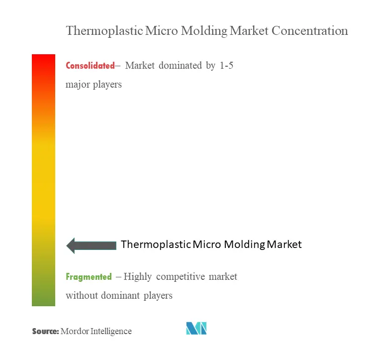 Thermoplastic Micro Molding Market Concentration.png