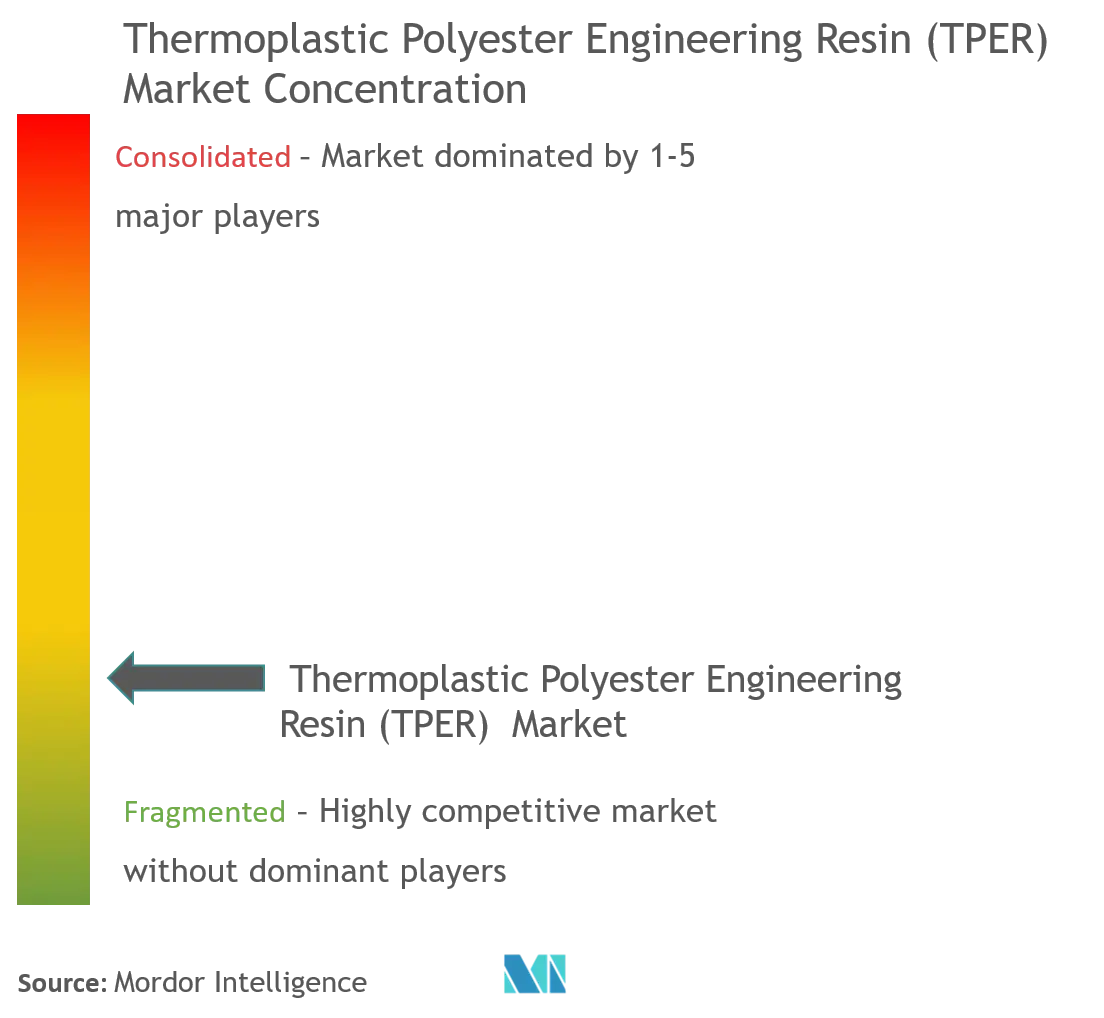 Technisches Thermoplastisches Polyesterharz (TPER)Marktkonzentration