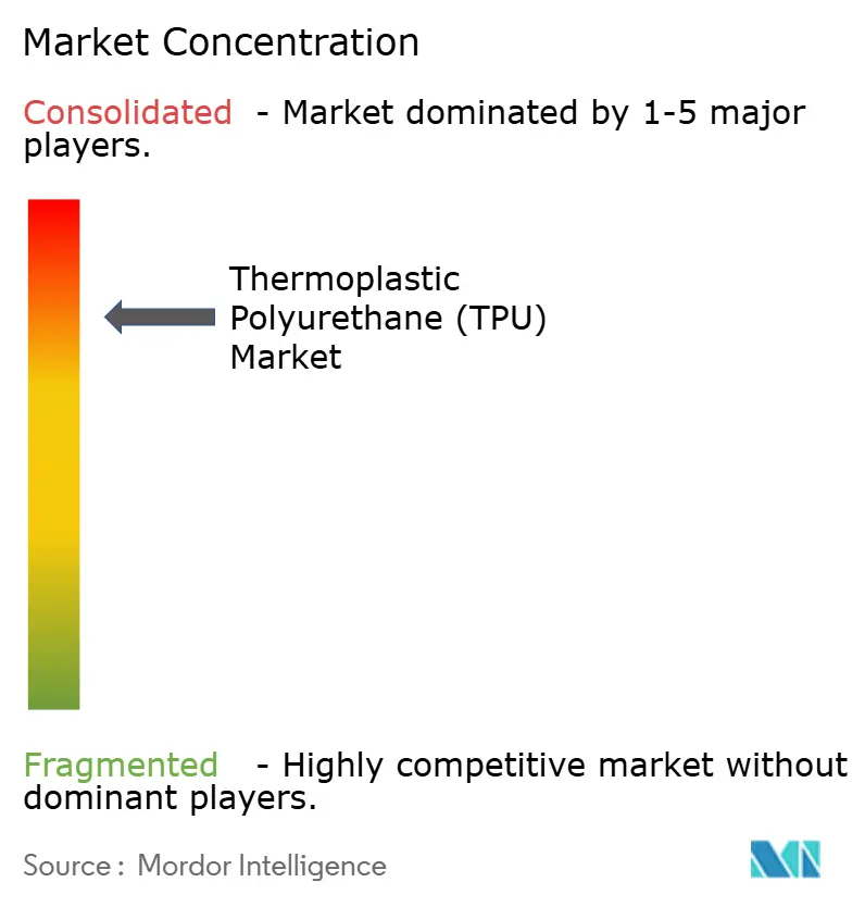 Thermoplastic Polyurethane (TPU) Market Concentration