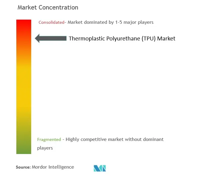 Concentração do mercado de poliuretano termoplástico (TPU)