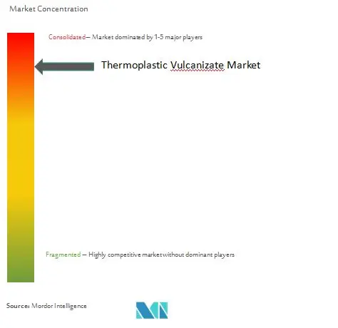 Concentración del mercado de vulcanizado termoplástico (TPV)