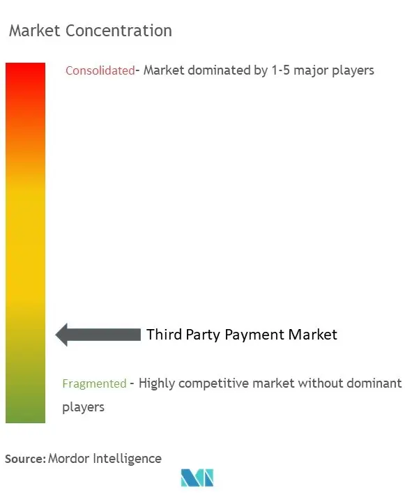 Third Party Payment Market Concentration