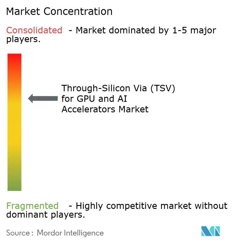 Through-Silicon Via (TSV) For GPU and AI Accelerators Market Concentration