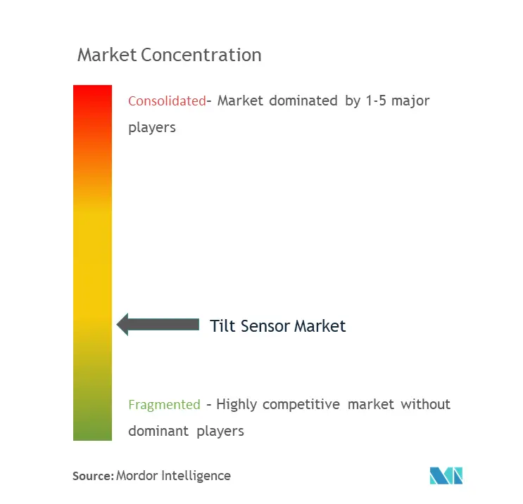 Tilt Sensors Market Concentration