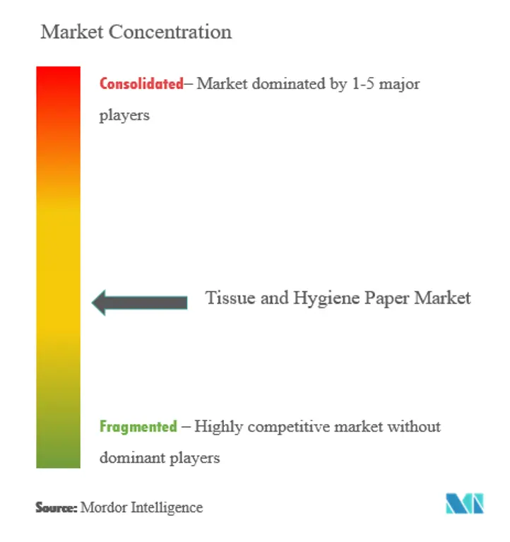 Europe Tissue and Hygiene Paper Market Concentration
