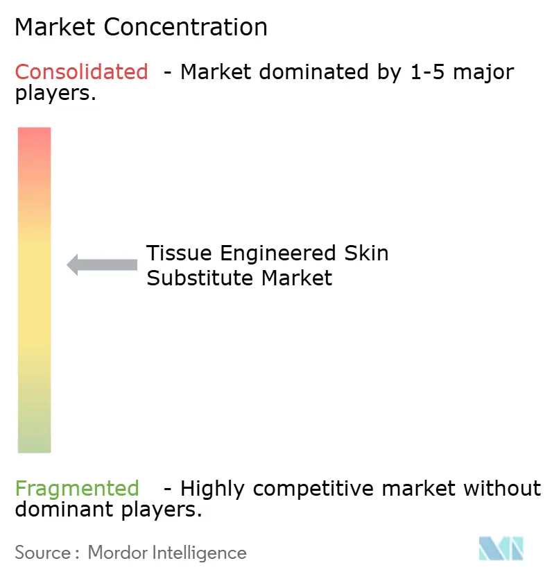 3M Company, Amarantus BioScience Holdings, Integra LifeSciences Corporation, Molnlycke Health Care, Organogenesis Inc., Smith & Nephew plc