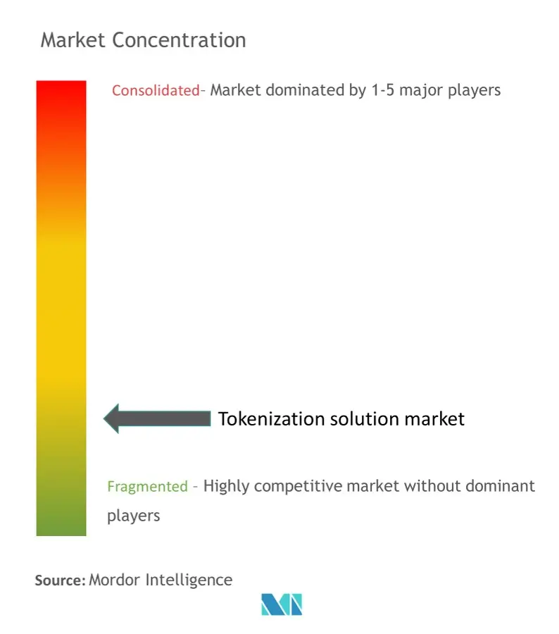 Tokenization solution market - market concentration.jpg