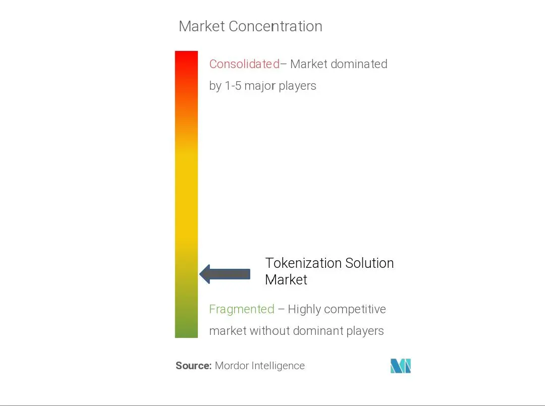 Tokenization Solution Market Concentration