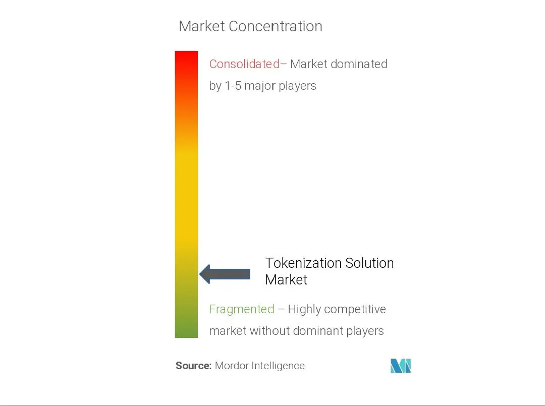 Marktkonzentration für Tokenisierungslösungen