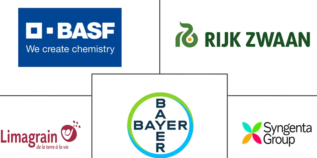 Major players in Tomato Seed industry