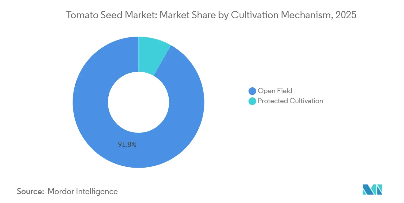 Tomato Seed Market: Market Share by Cultivation Mechanism